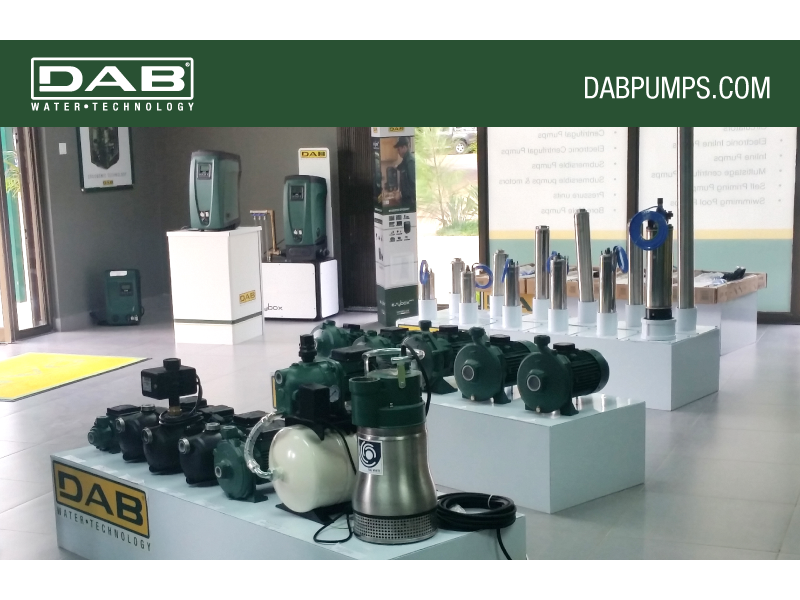 Dab_800x600